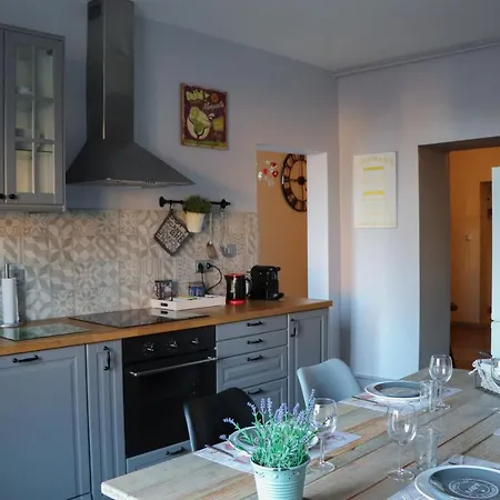 Gite45colmar Daire Colmar